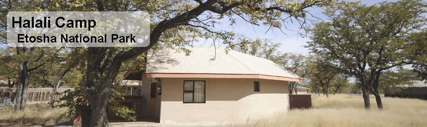 Halali Camp nwr Etosha National Park namibia