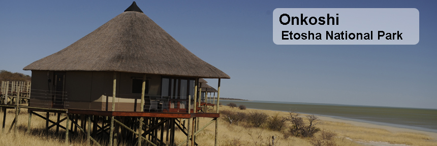 Onkoshi Camp nwr Etosha National Park namibia