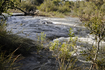 Popa Falls Resort