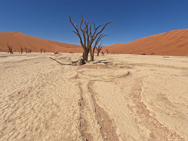 Deadvlei — ancient dead trees in the white clay pan