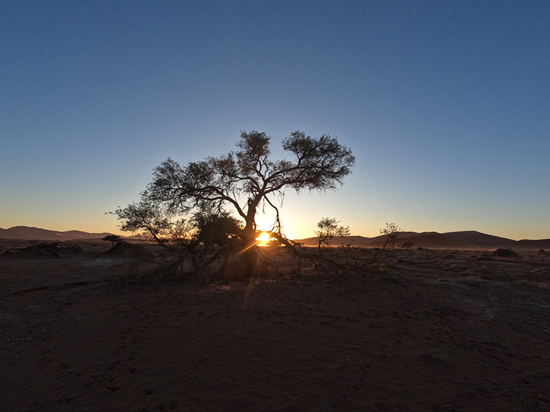 Elim Dune sunset from Sesriem Campsite