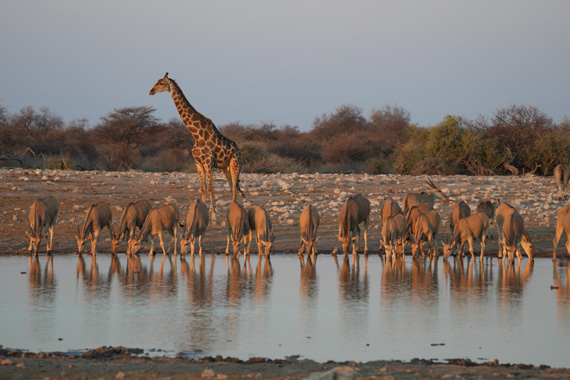 Etosha National Park entrance