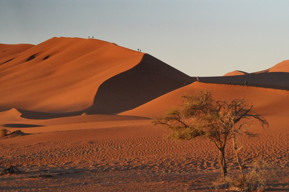 Sossusvlei — the great pan of the Namib Desert