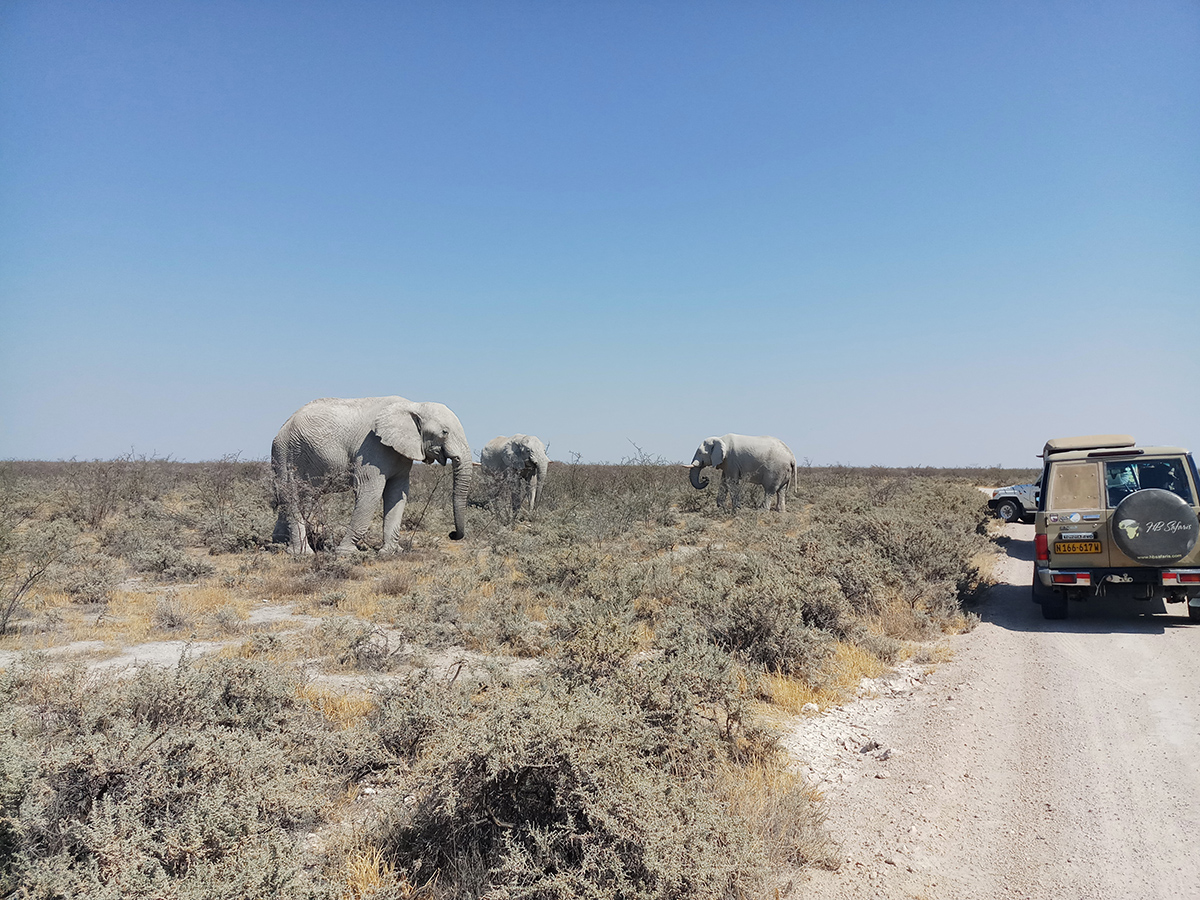 Lüderitz — Shark Island NWR