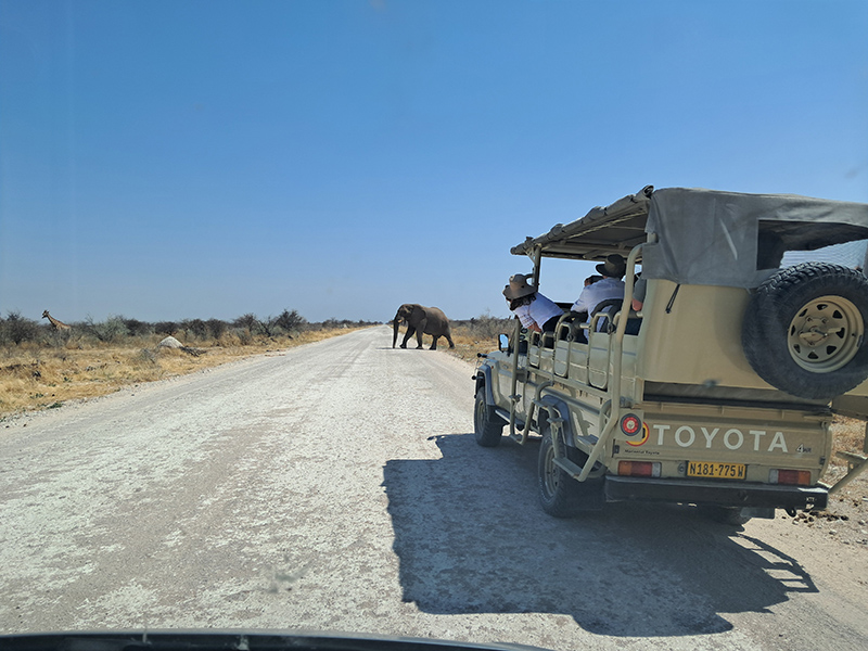 Vehicle stuck in sand on Namibia gravel road — why you need a 4x4