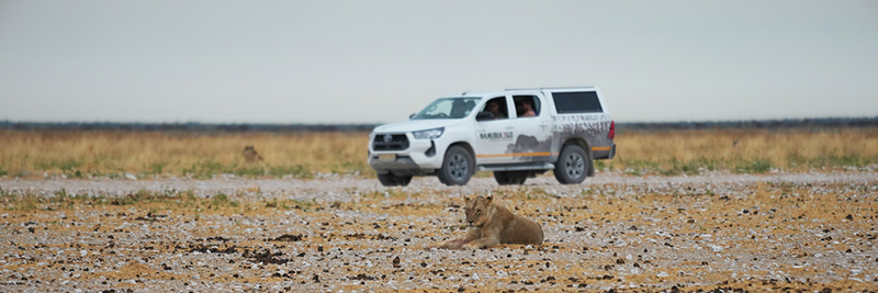 Self-drive safety in Namibia — is it safe to drive