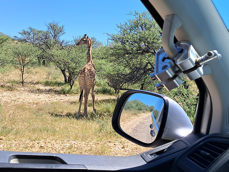 Namibia car rental costs and pricing 2025 2026