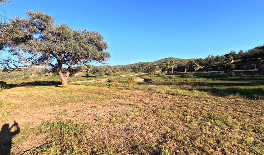 Wildlife at Daan Viljoen Game Reserve