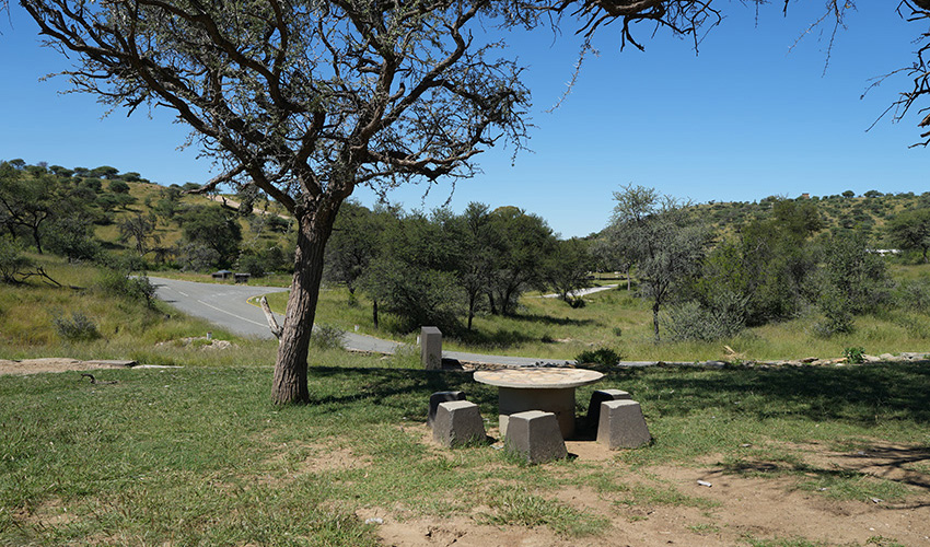 Daan Viljoen luxury Giraffe campsites