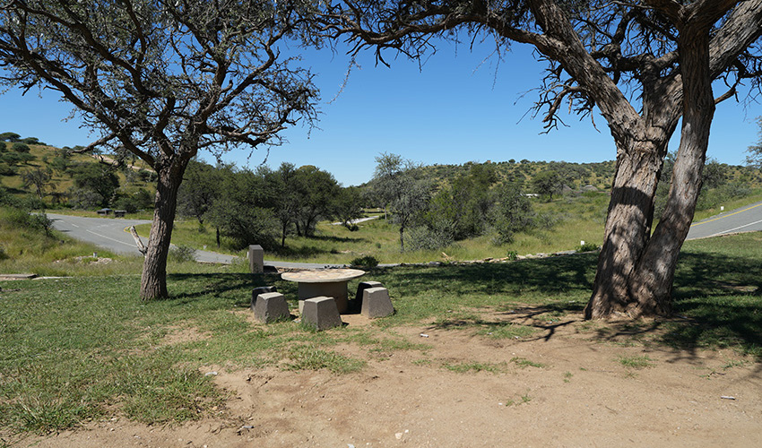 Daan Viljoen camping