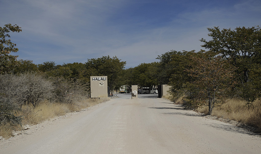 Namibia Etosha National Park Halali Resort