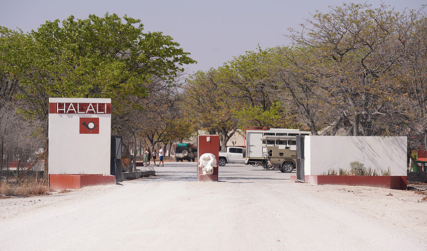 Namibia Etosha National Park Halali Resort