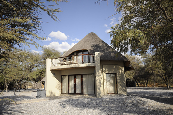 Okaukuejo Premier Chalet