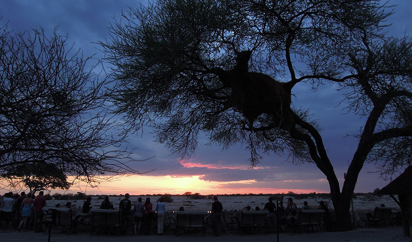 Namibia Etosha National Park Okaukuejo Resort