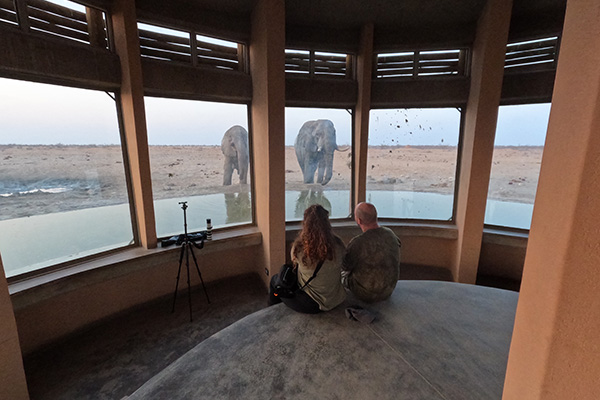 Olifantsrus Camp hide Etosha