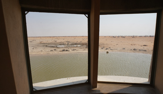 Okaukuejo Resort Etosha National Park NWR