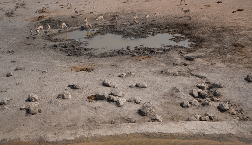 Okaukuejo Resort Etosha National Park NWR