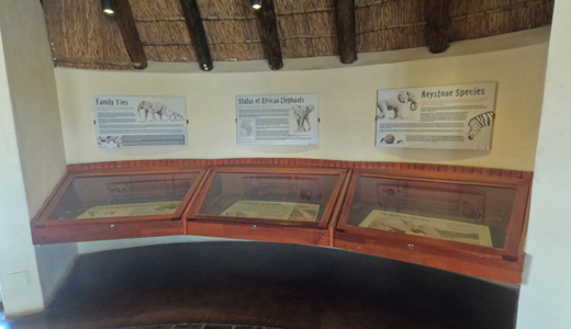 Okaukuejo Resort Etosha National Park NWR