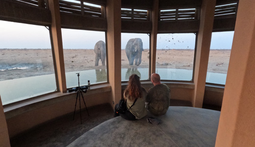 Okaukuejo Resort Etosha National Park NWR