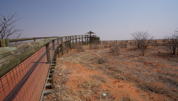 NWR Etosha National Park Olifantsrus