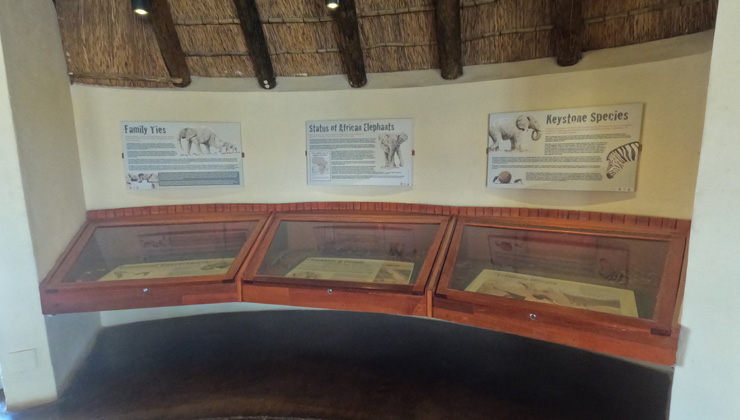 NWR Etosha National Park Olifantsrus