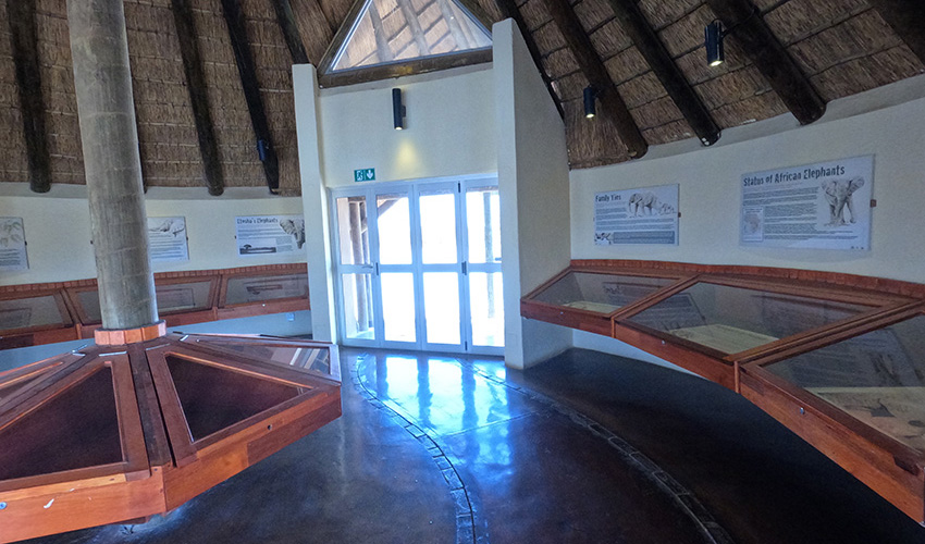 Namibia Etosha National Park Olifantsrus Camp