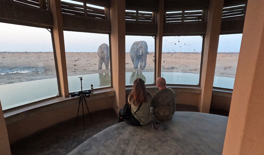 Namibia Etosha National Park Olifantsrus Camp