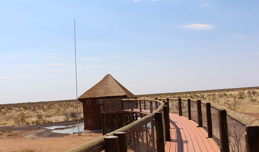 Namibia Etosha National Park Olifantsrus Camp