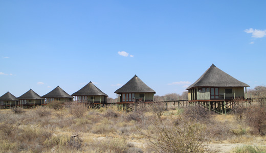 Onkoshi Resort Etosha National Park NWR