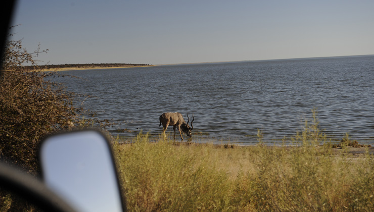 NWR Etosha National Park Onkoshi Camp