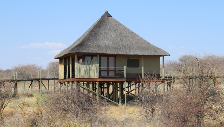 NWR Etosha National Park Onkoshi Camp