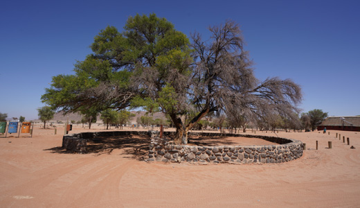 Sesriem Campsite Sossusvlei NWR