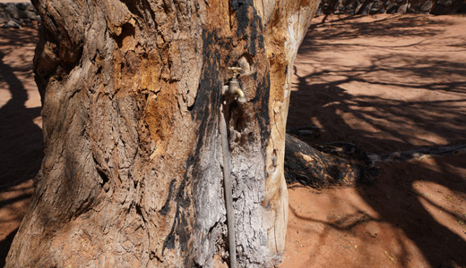 Sesriem Campsite Sossusvlei NWR