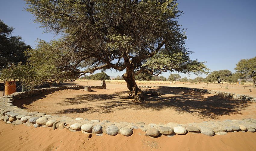 Namibia Sossusvlei Sesriem Campsite