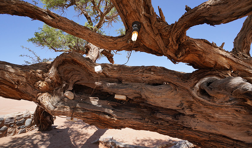 Namibia Sossusvlei Sesriem Campsite