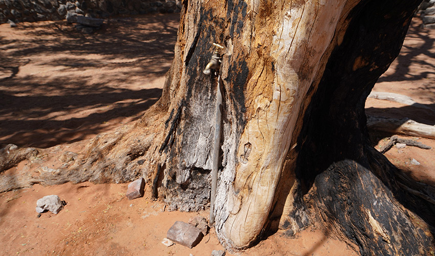 Namibia Sossusvlei Sesriem Campsite