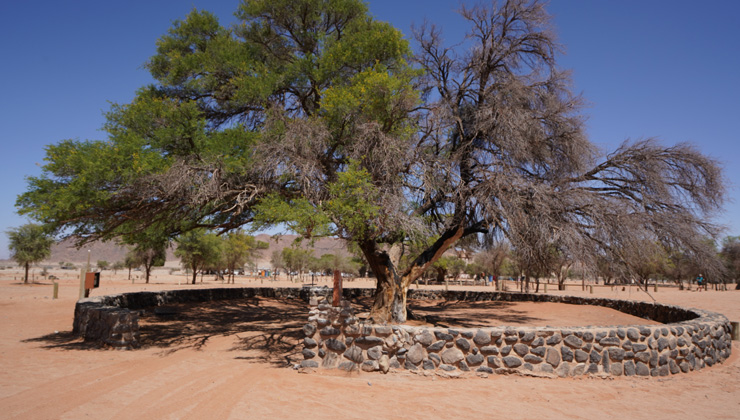 NWR Sossusvlei Sesriem Campsite