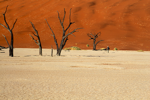 Deadvlei Sossusvlei Namib desert