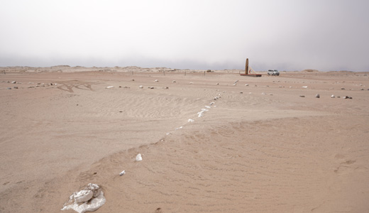 Torra Bay Skeleton Coast NWR