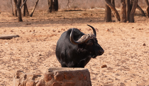 Waterberg Resort Waterberg Plateau NWR