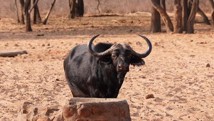 NWR Waterberg Plateau Park